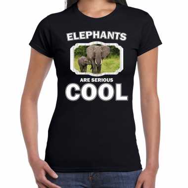 Goedkope t shirt elephants are serious cool zwart dames olifanten/ olifant shirt