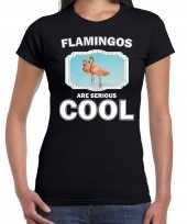 Goedkope t-shirt flamingos are serious cool zwart dames flamingo vogels flamingo shirt